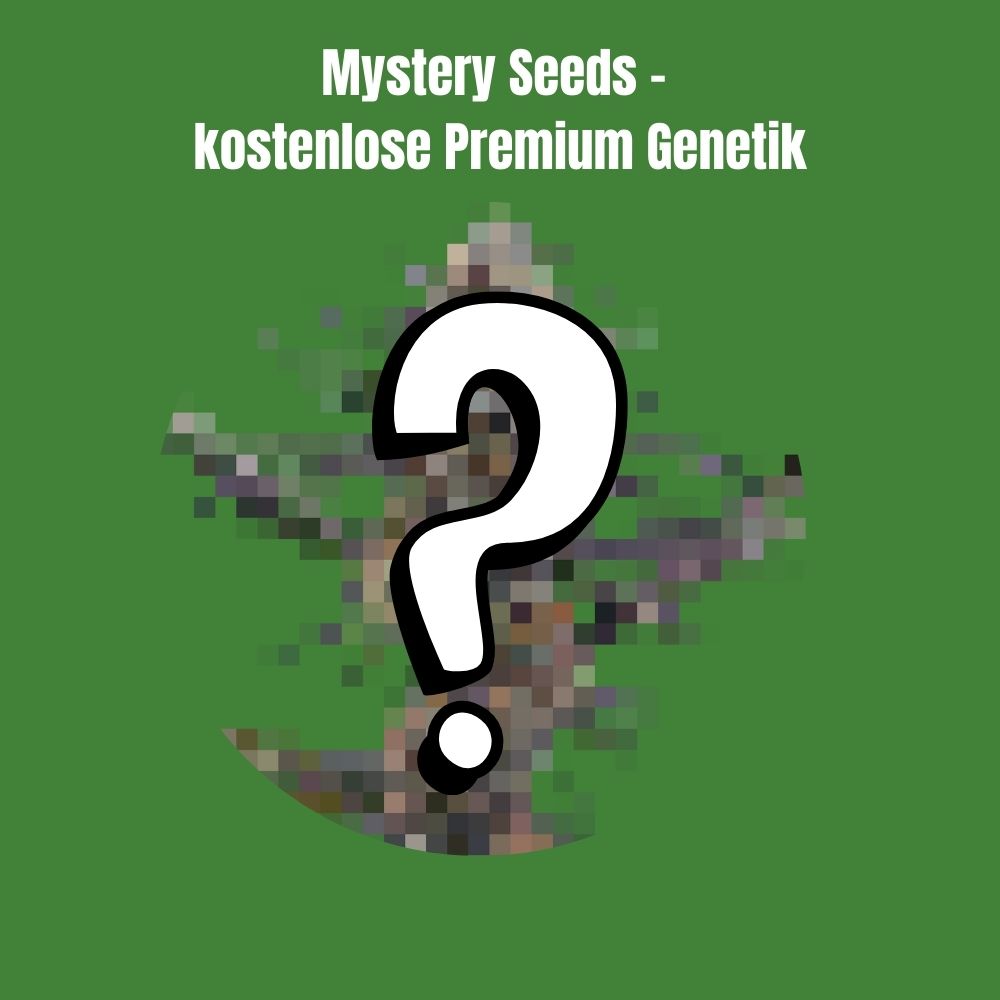 Free Mystery Samen - Autoflower