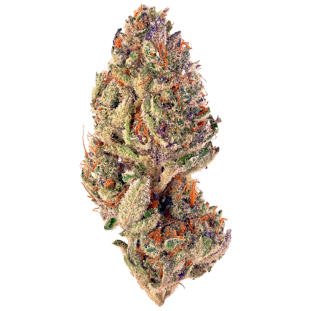 Tropicana Cookies Seeds (22% THC) 🌱