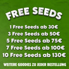 Gratis cannabissamen